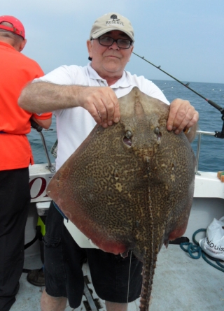  Thornback Ray 